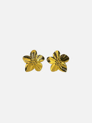 Boucles d’oreilles Liova