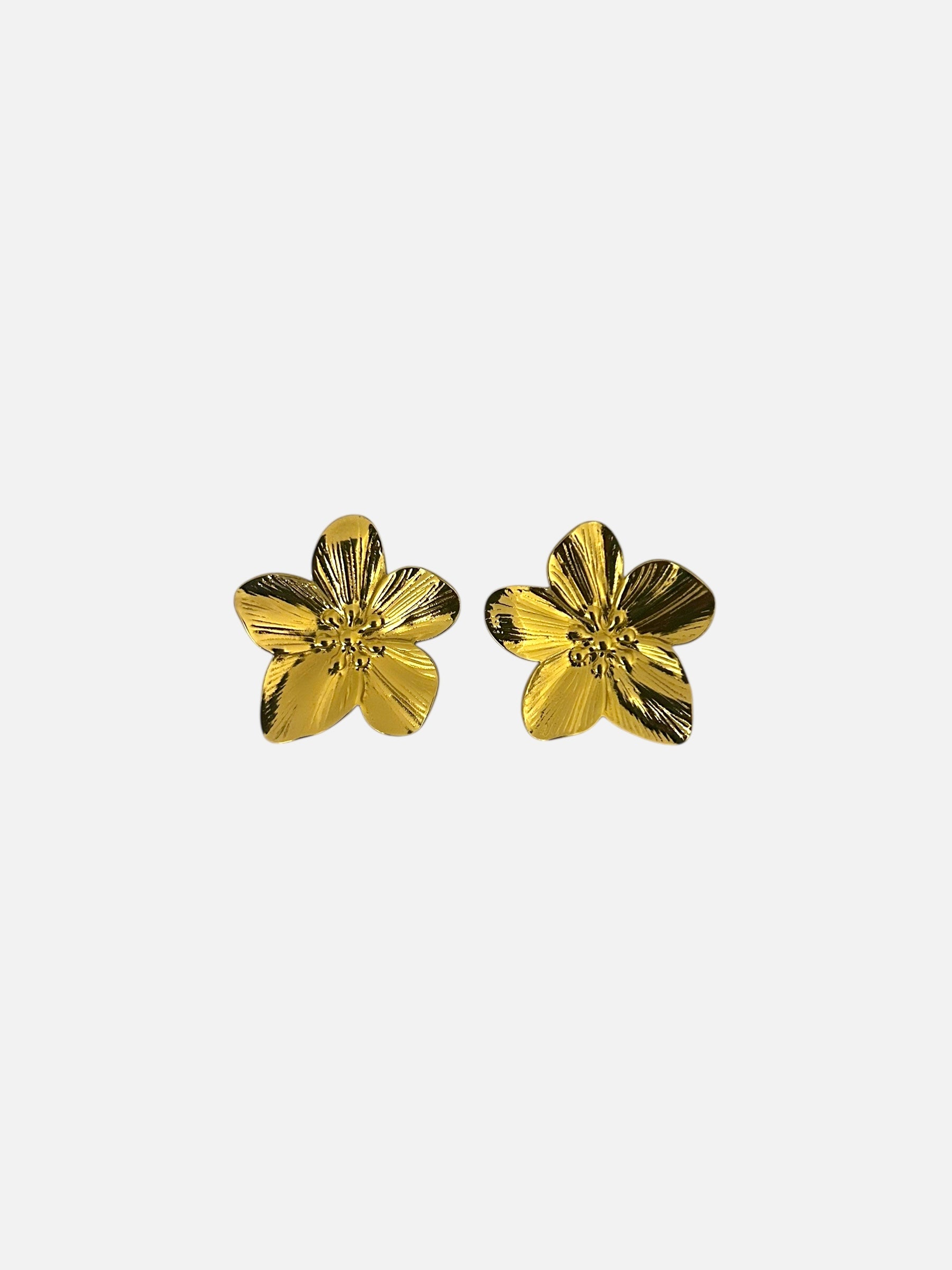 Boucles d’oreilles Liova